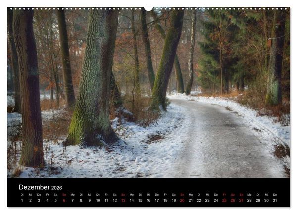 Produktbild: Waldkalender (Wandkalender 2026 DIN A2 quer), CALVENDO Monatskalender