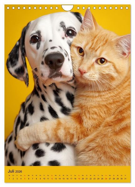 Produktbild: Freundschaftskalender - Katzen und Hunde, beste Freunde in Umarmung (Wandkalender 2026 DIN A4 hoch), CALVENDO Monatskalender