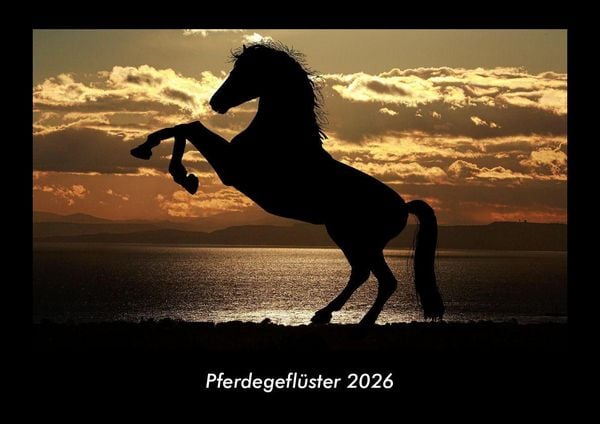 Produktbild: Pferdegefl&uuml;ster 2026 Fotokalender DIN A3
