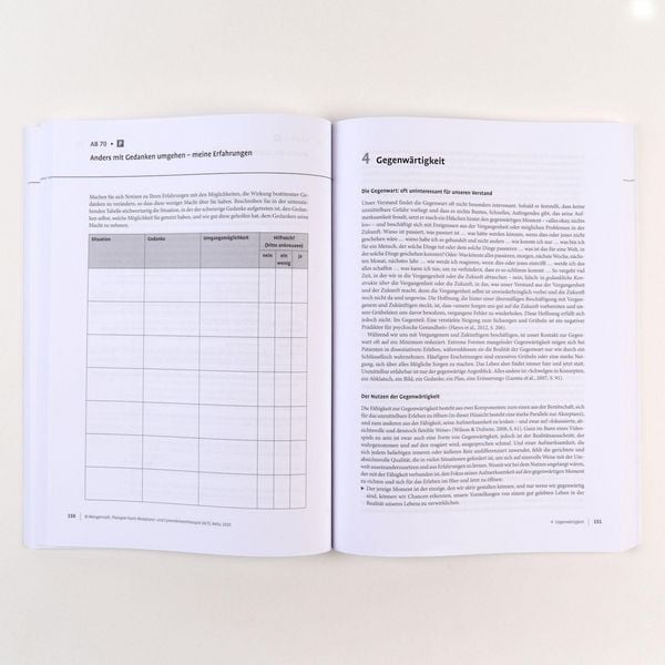 Produktbild: Therapie-Tools Akzeptanz- und Commitmenttherapie (ACT)