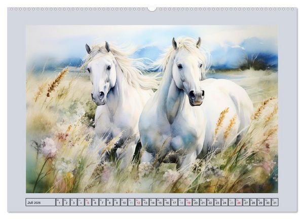 Produktbild: Anmutige Schimmel. &Auml;sthetik wei&szlig;er Aquarell-Pferde (Wandkalender 2026 DIN A2 quer), CALVENDO Monatskalender