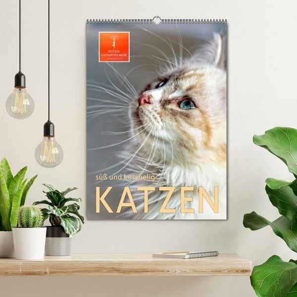 Produktbild: Katzen - s&uuml;&szlig; und kuschelig (Wandkalender 2026 DIN A2 hoch), CALVENDO Monatskalender