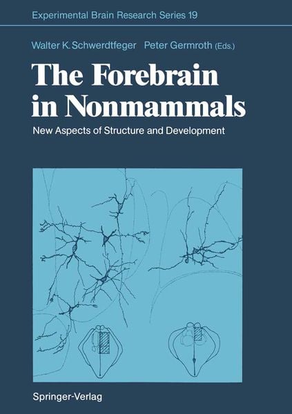 Produktbild: The Forebrain in Nonmammals