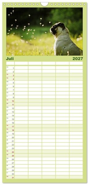 Produktbild: Familienplaner 2027 - Der MOPS-Kalender mit 5 Spalten (Wandkalender, 21 x 45 cm) CALVENDO