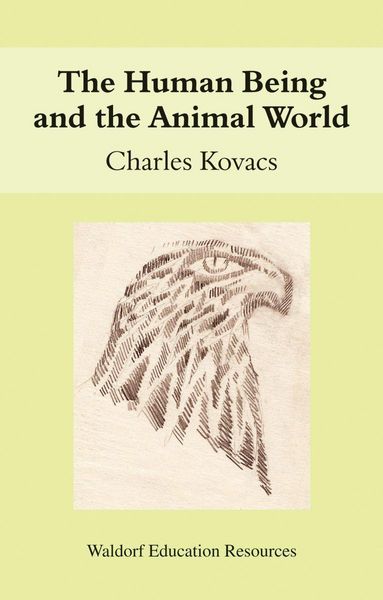 Produktbild: The Human Being and the Animal World