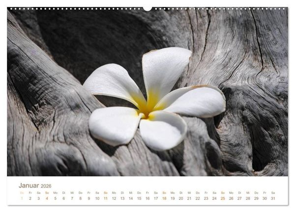 Produktbild: Hawaii Paradies auf Erden (Wandkalender 2026 DIN A2 quer), CALVENDO Monatskalender