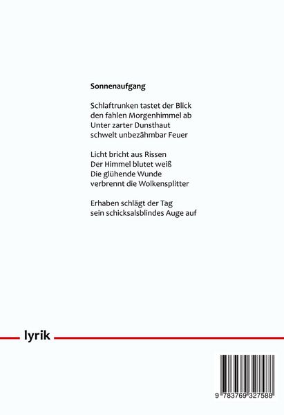 Produktbild: Aschenflug