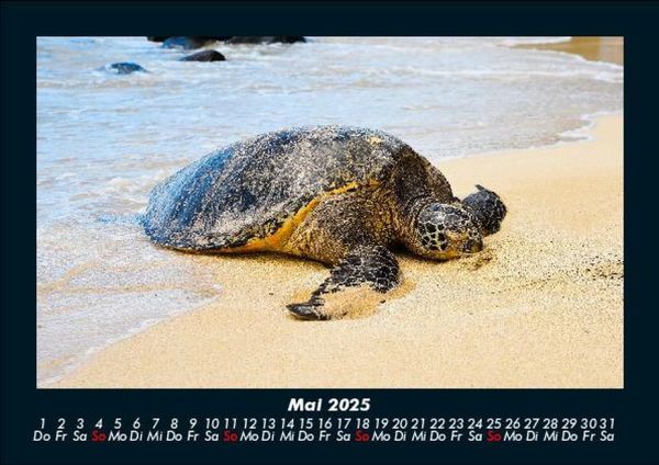 Produktbild: Str&auml;nde der Welt 2025 Fotokalender DIN A5