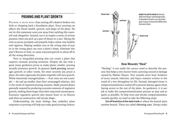 Produktbild: How to Prune Trees & Shrubs