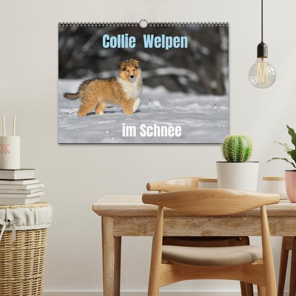 Produktbild: Collie Welpen im Schnee (Wandkalender 2026 DIN A3 quer), CALVENDO Monatskalender