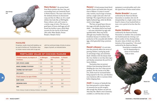 Produktbild: The Chicken Encyclopedia