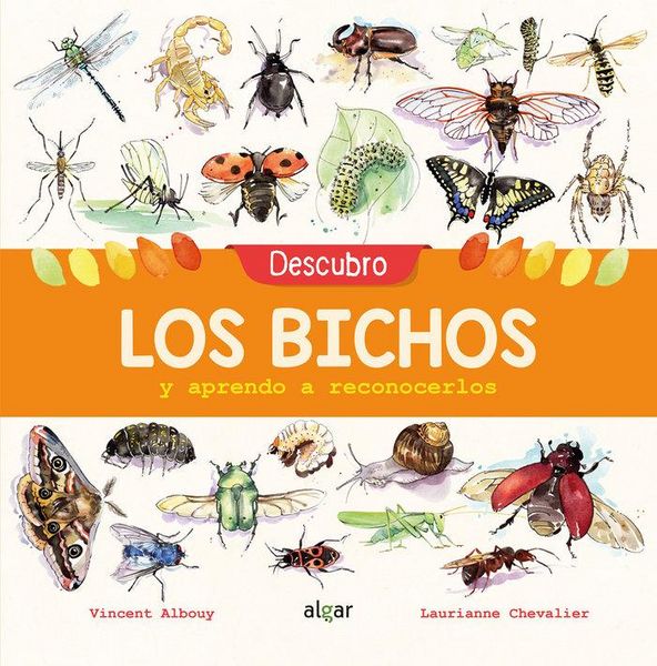 Produktbild: Descubro los bichos y aprendo a reconocerlos
