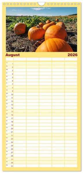 Produktbild: Familienplaner 2026 - K&Uuml;RBIS KALENDER - Die sch&ouml;nsten K&uuml;rbisse des Jahres mit 5 Spalten (Wandkalender, 21 x 45 cm) CALVENDO