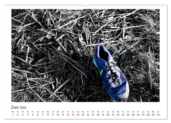 Produktbild: Gestrandet -Treibgut- (hochwertiger Premium Wandkalender 2026 DIN A2 quer), Kunstdruck in Hochglanz