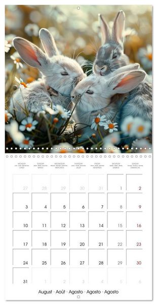 Produktbild: RABBITS Cuddly little guys (Wall Calendar 2026 12 &times; 12 Inch) CALVENDO 12 Month Wall Calendar