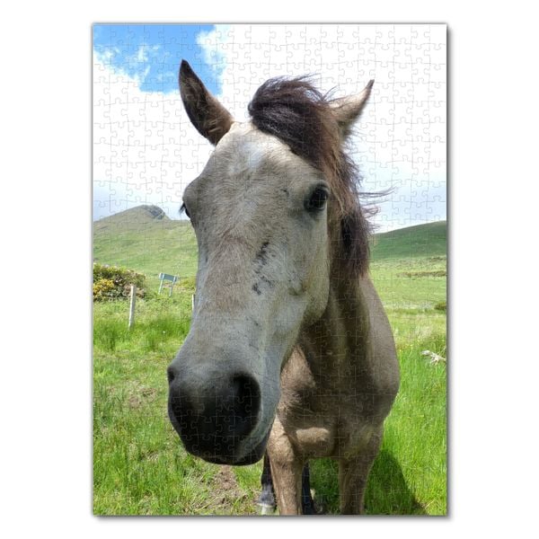 Produktbild: Lais Puzzle Connemara Pony 500 Teile