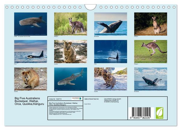 Produktbild: Big Five Australiens Buckelwal, Walhai, Orca, Quokka,K&auml;nguru (Wandkalender 2026 DIN A4 quer), CALVENDO Monatskalender