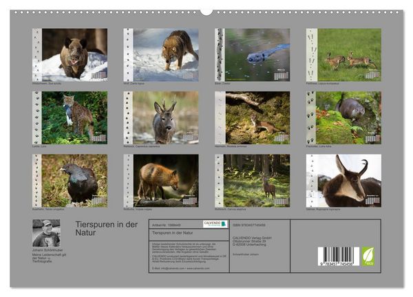 Produktbild: Tierspuren in der Natur (hochwertiger Premium Wandkalender 2026 DIN A2 quer), Kunstdruck in Hochglanz