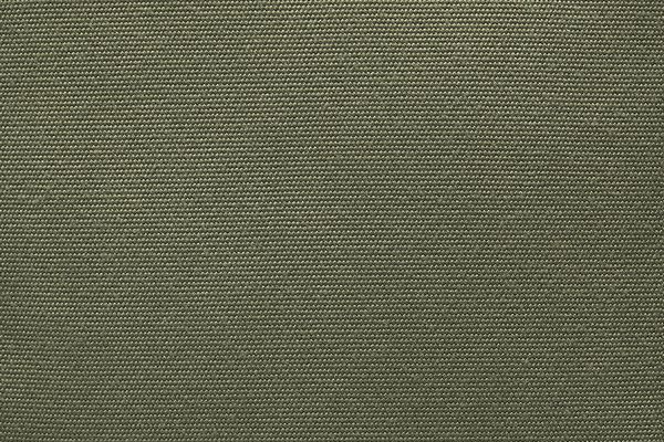 Produktbild: The Legendary Rolltop Backpack Green