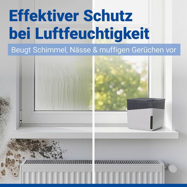 Produktbild: Raumentfeuchter Mod. Cube Grau 1000 g, 2er Set, beugt Schimmel und Ger&uuml;chen vor