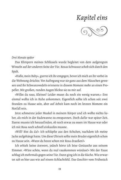 Produktbild: A Midsummer Night's Deal. Feenpakt