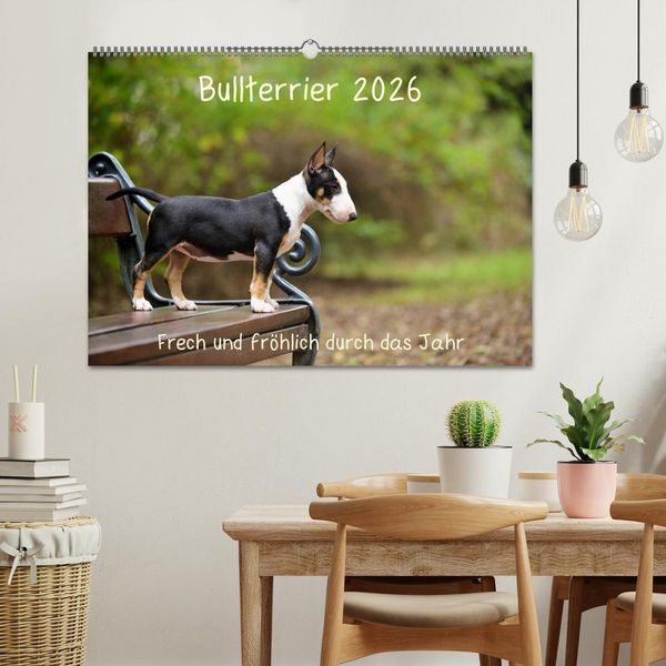 Produktbild: Bullterrier 2026 Frech und fr&ouml;hlich durch das Jahr (Wandkalender 2026 DIN A2 quer), CALVENDO Monatskalender