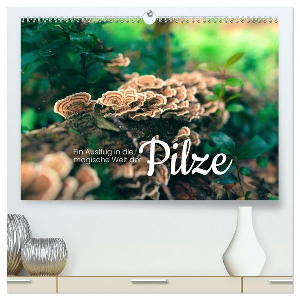 Ein Ausflug in die magische Welt der Pilze (hochwertiger Premium Wandkalender 2026 DIN A2 quer), Kunstdruck in Hochglanz