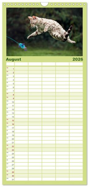 Produktbild: Familienplaner 2026 - Bengalen Outdoor und Action mit 5 Spalten (Wandkalender, 21 x 45 cm) CALVENDO