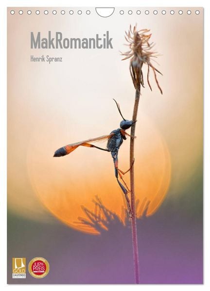 Produktbild: MakRomantik (Wandkalender 2026 DIN A4 hoch), CALVENDO Monatskalender