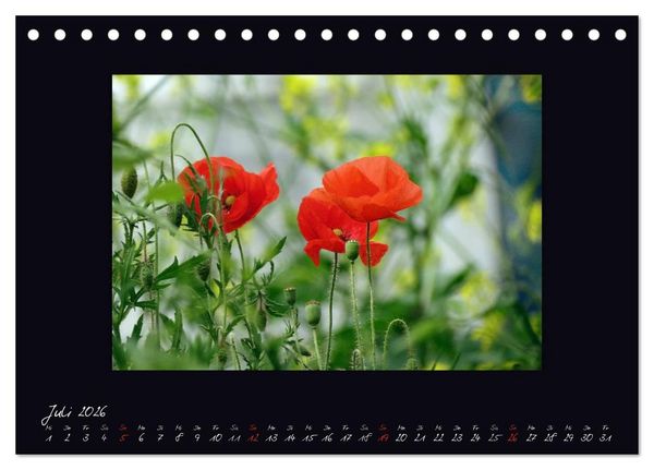 Produktbild: MOHNographie (Tischkalender 2026 DIN A5 quer), CALVENDO Monatskalender