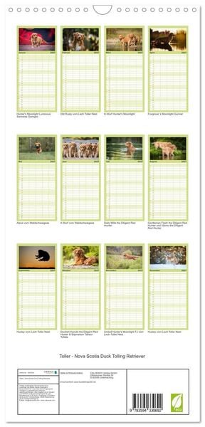 Produktbild: Familienplaner 2027 - Toller - Nova Scotia Duck Tolling Retriever mit 5 Spalten (Wandkalender, 21 x 45 cm) CALVENDO
