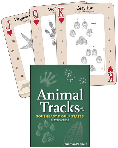 Produktbild: Animal Tracks of the Southeast & Gulf States Playing Cards