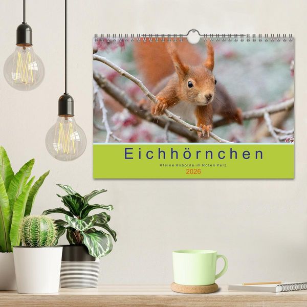 Produktbild: Eichh&ouml;rnchen - Kleine Kobolde im Roten Pelz (Wandkalender 2026 DIN A4 quer), CALVENDO Monatskalender