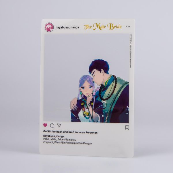 Produktbild: The Male Bride 1
