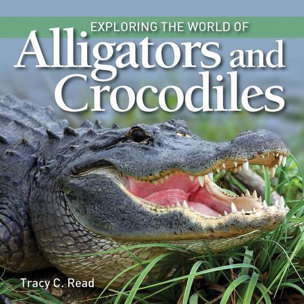 Produktbild: Exploring the World of Alligators and Crocodiles