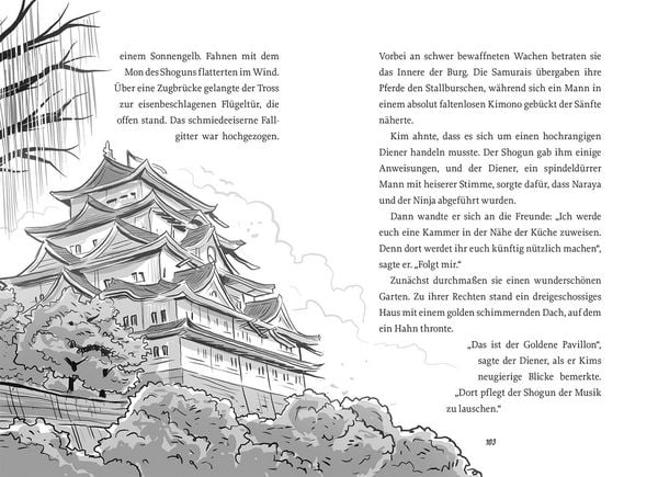 Produktbild: Die Zeitdetektive, 6, Die Rache des Ninjas