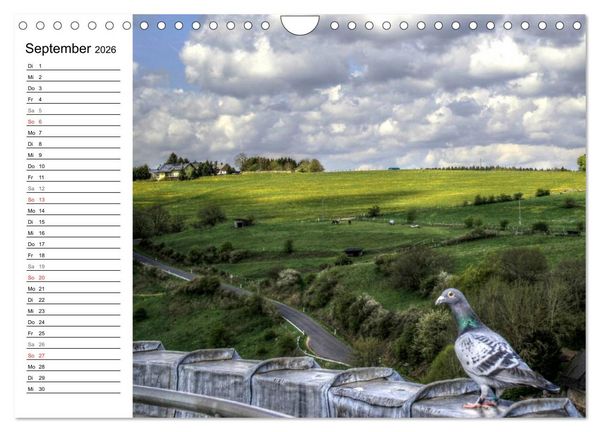 Produktbild: Faszination Eifel (Wandkalender 2026 DIN A4 quer), CALVENDO Monatskalender