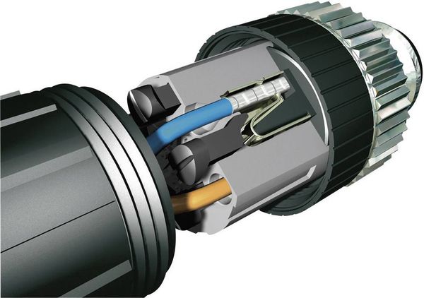 Produktbild: Phoenix Contact 1424667 Sensor-/Aktor-Steckverbinder, unkonfektioniert M12 Stecker, gewinkelt Polzahl Sensoren: 4 1 St.