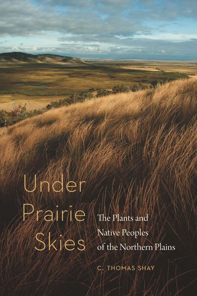 Produktbild: Under Prairie Skies