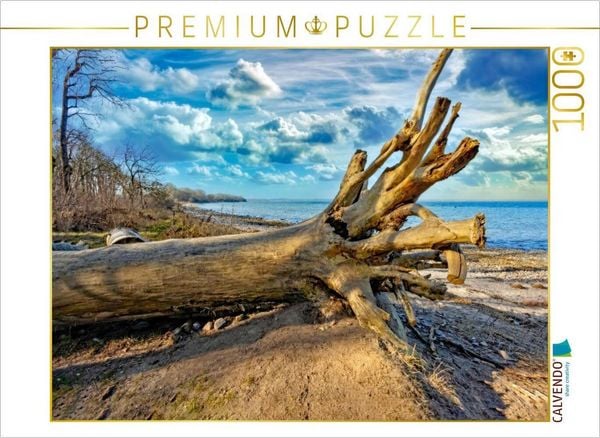 CALVENDO Puzzle Novemberstimmung am Ostseestrand von Beckerwitz | 1000 Teile Lege-Größe 64x48cm Foto-Puzzle für glückliche Stunden