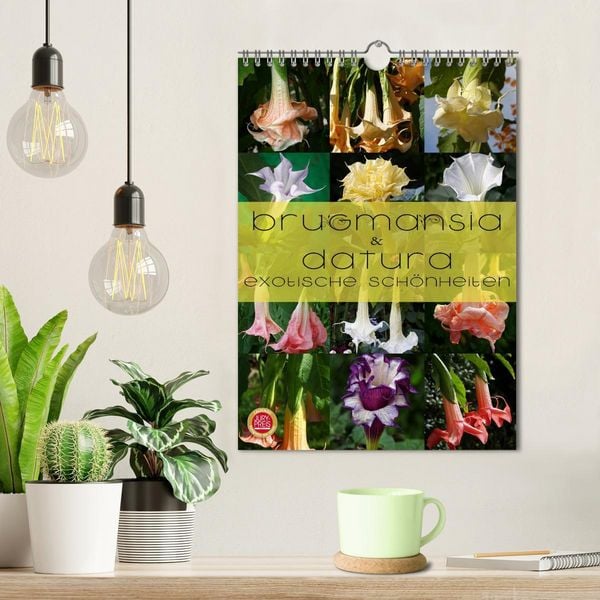 Produktbild: Brugmansia & Datura - Exotische Sch&ouml;nheiten (Wandkalender 2026 DIN A4 hoch), CALVENDO Monatskalender