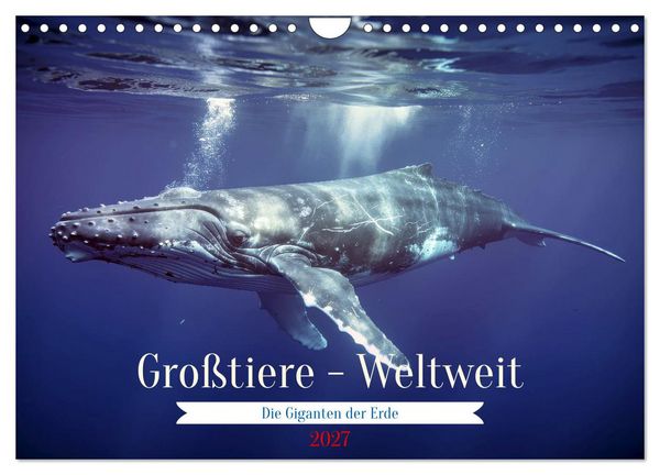 Produktbild: Gro&szlig;tiere - Weltweit (Wandkalender 2027 DIN A4 quer), CALVENDO Monatskalender
