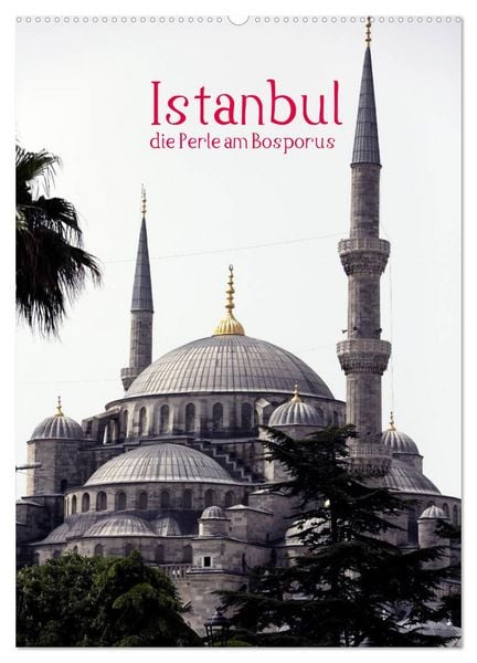 Istanbul, die Perle am Bosporus (Wandkalender 2026 DIN A2 hoch), CALVENDO Monatskalender