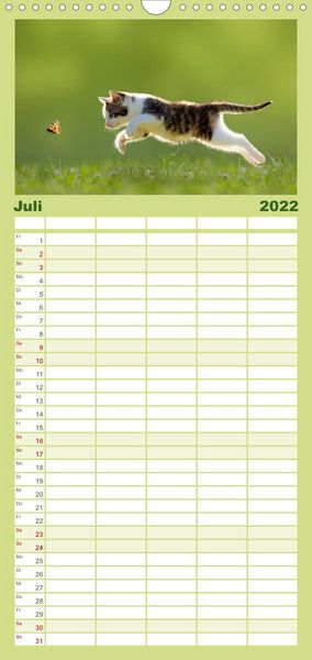 Produktbild: Familienplaner K&auml;tzchen 2022 (Wandkalender 2022 , 21 cm x 45 cm, hoch)