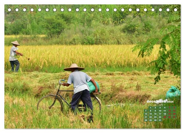 Produktbild: Riz de Chine (Calendrier de bureau 2026 DIN A5 vertical), CALVENDO calendrier mensuel