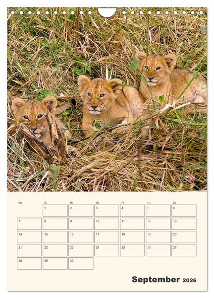 Produktbild: Kenia - Terminplaner (Wandkalender 2026 DIN A4 hoch), CALVENDO Monatskalender