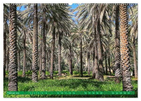 Produktbild: Unterwegs im Weihrauchland Oman (Wandkalender 2026 DIN A2 quer), CALVENDO Monatskalender