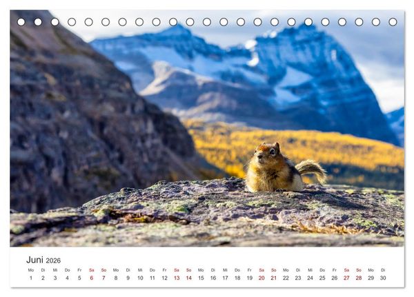 Produktbild: Kanada - Eine Reise durch ein spektakul&auml;res Land. (Tischkalender 2026 DIN A5 quer), CALVENDO Monatskalender