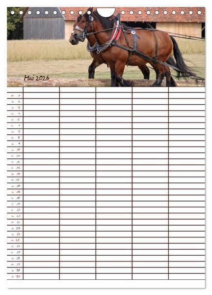 Produktbild: Der Kaltblut-Familienplaner (Wandkalender 2026 DIN A4 hoch), CALVENDO Monatskalender