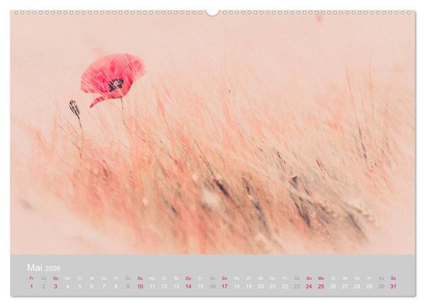 Produktbild: Zauber des Mohns (Wandkalender 2026 DIN A2 quer), CALVENDO Monatskalender